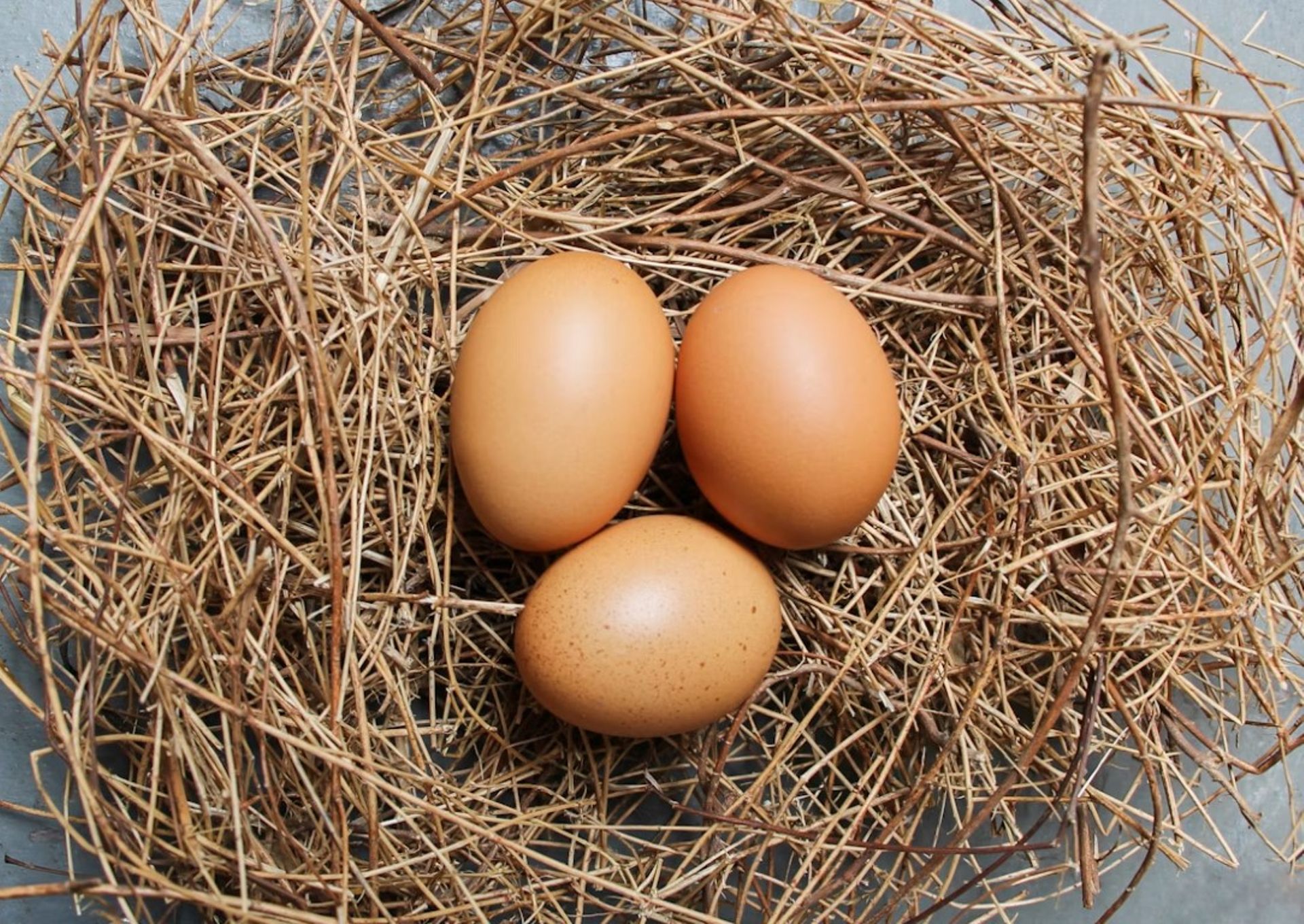 Navis Capital partners PEP Gateway to buy NZ's Mainland Poultry