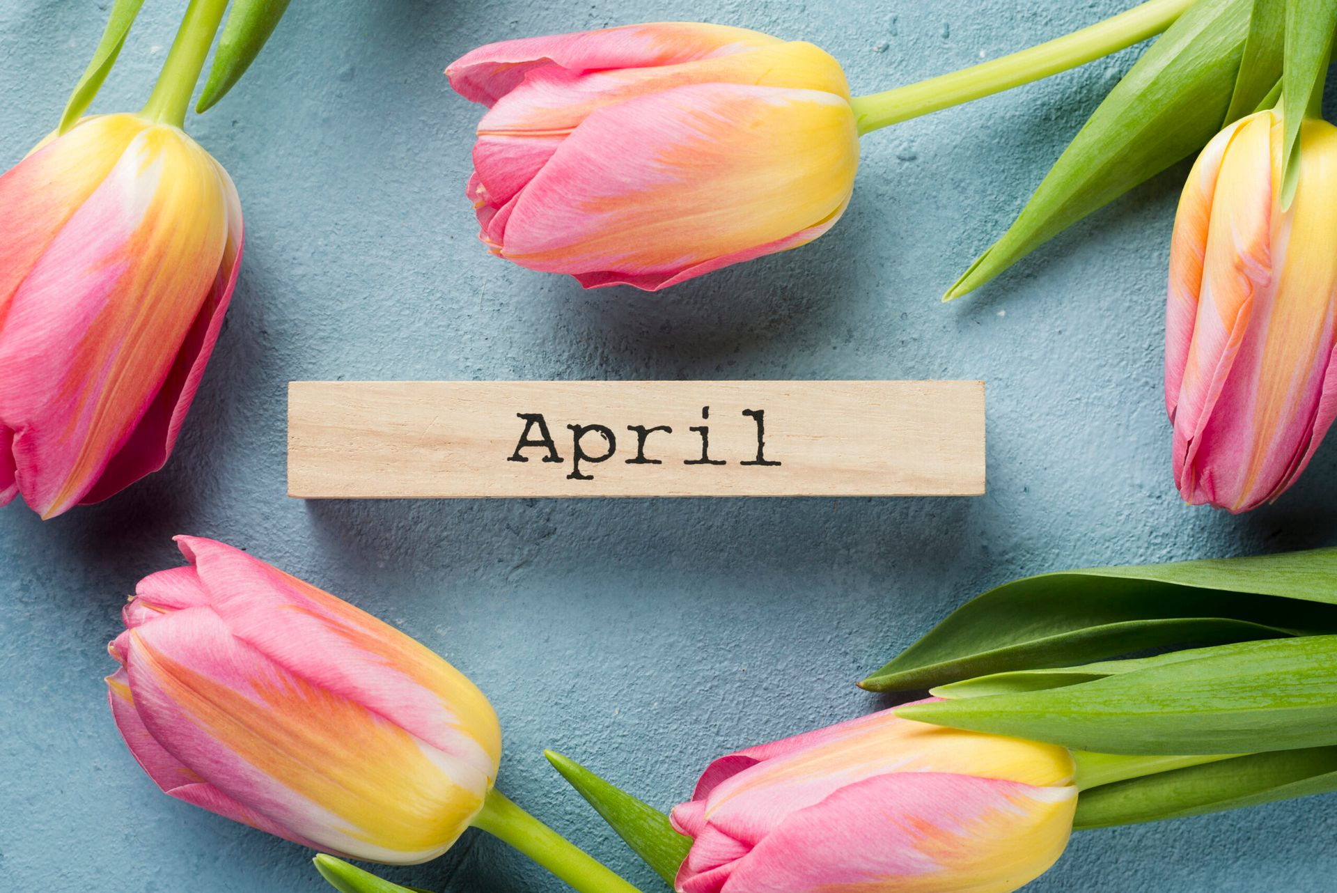 These were our top stories from April 2026