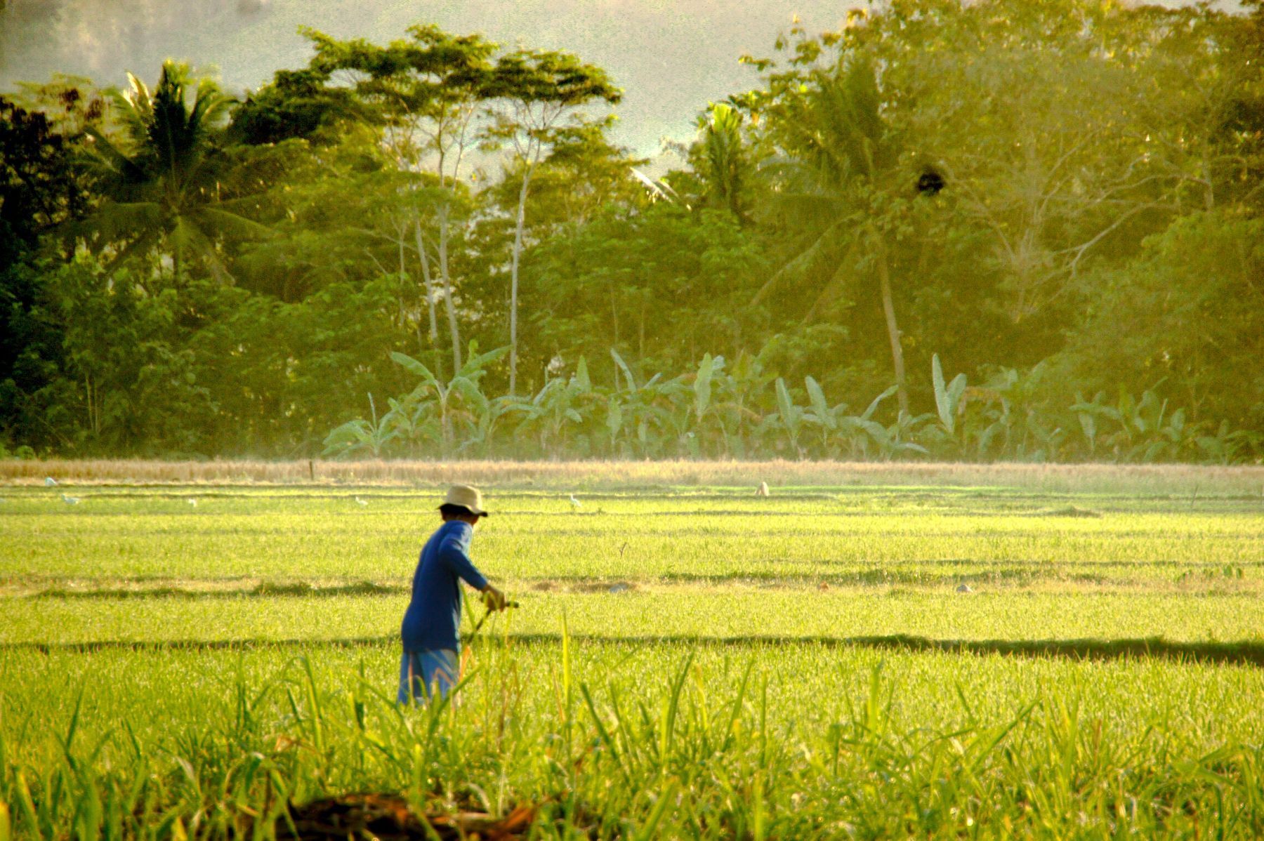 Indonesia's AgriAku secures new capital amid business realignment