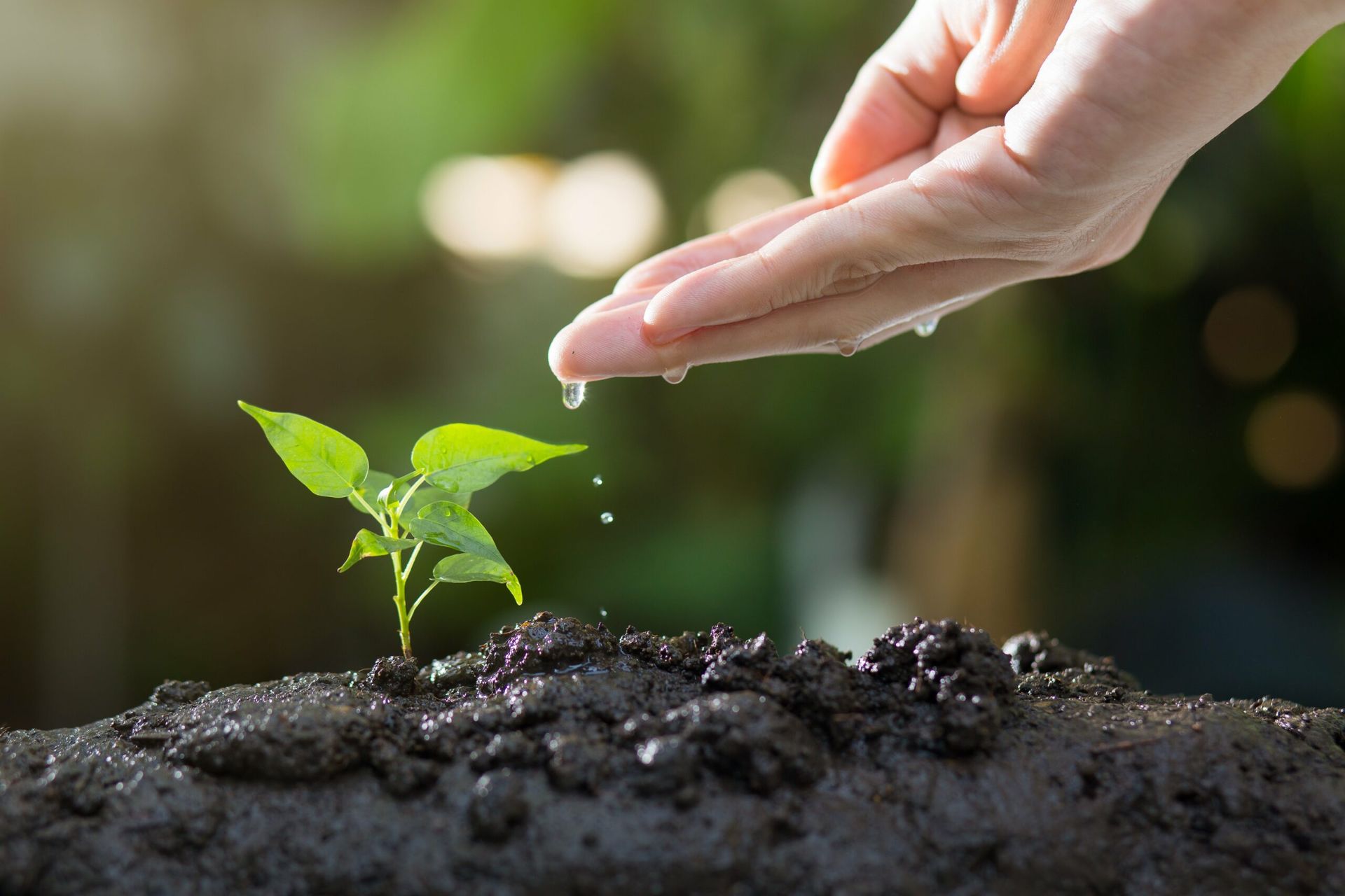 Green Climate Fund commits $50m to Mekong Capital's climate fund