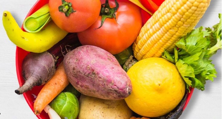 India's Urban Harvest set to raise $36m Series D round led by Info Edge: Report