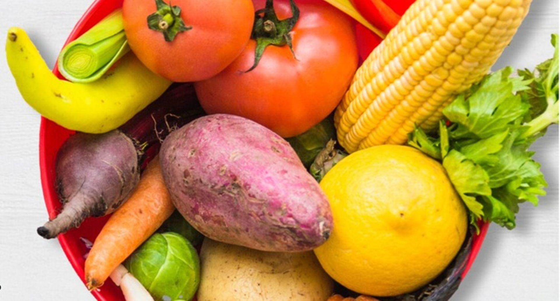 India's Urban Harvest set to raise $36m Series D round led by Info Edge: Report