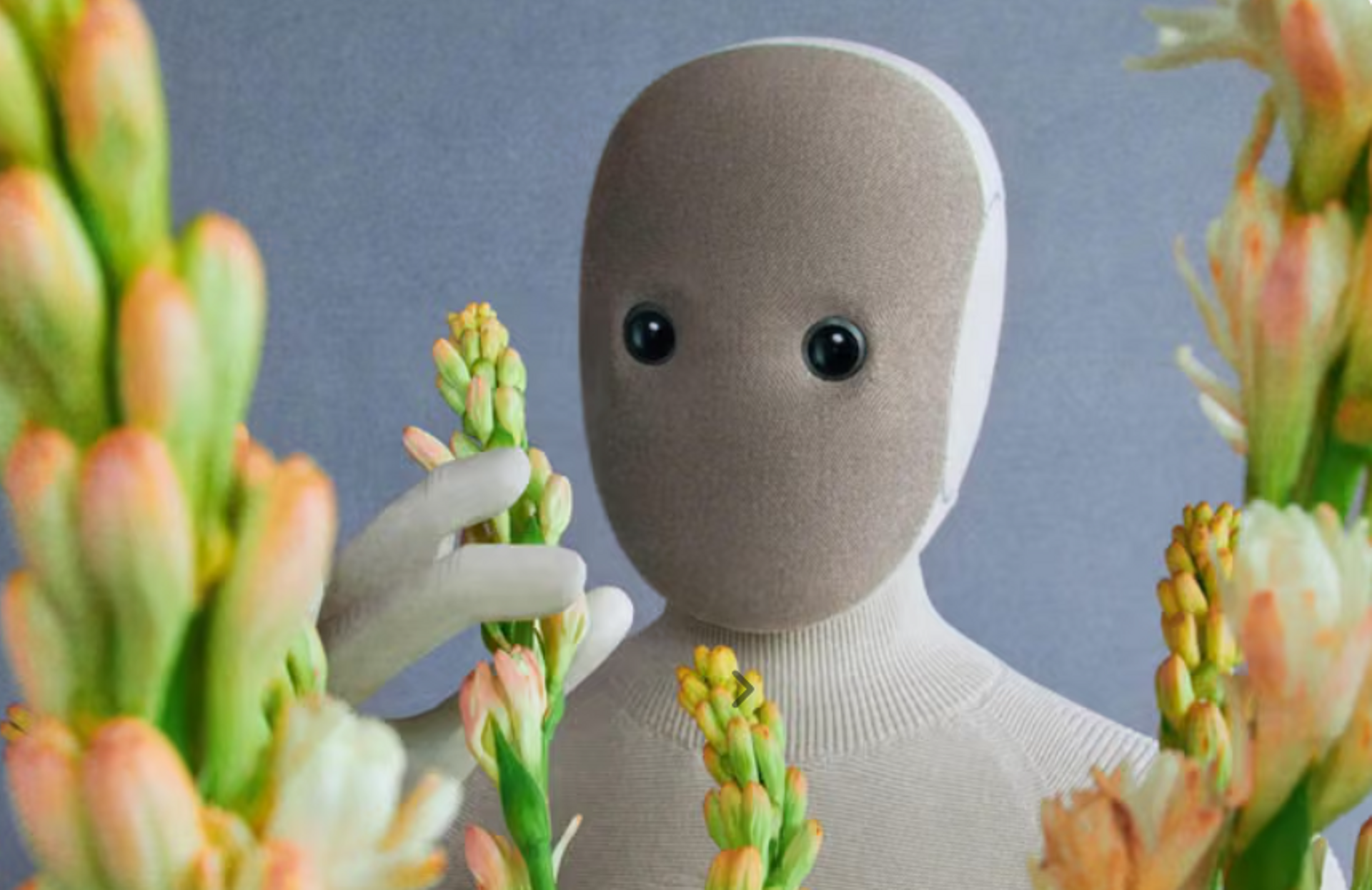 SoftBank looks to buy stake in humanoid robot maker 1X: report