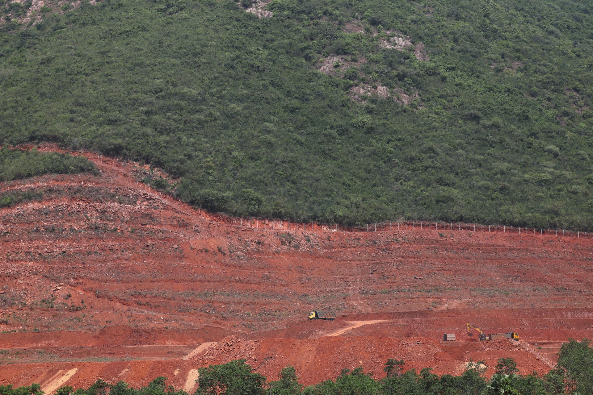 Google’s $15b India data centre project battles water, wildlife concerns