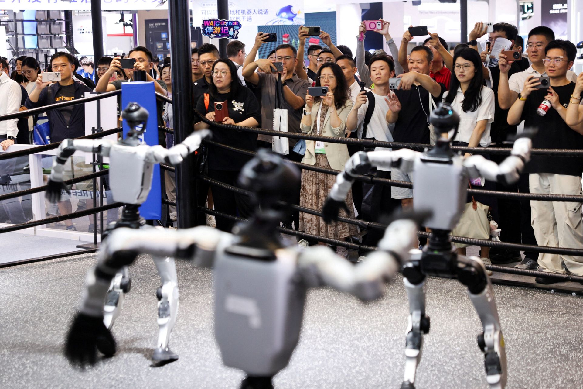 Beyond Unitree's blockbuster IPO: When will the music stop for China's AI listing boom?