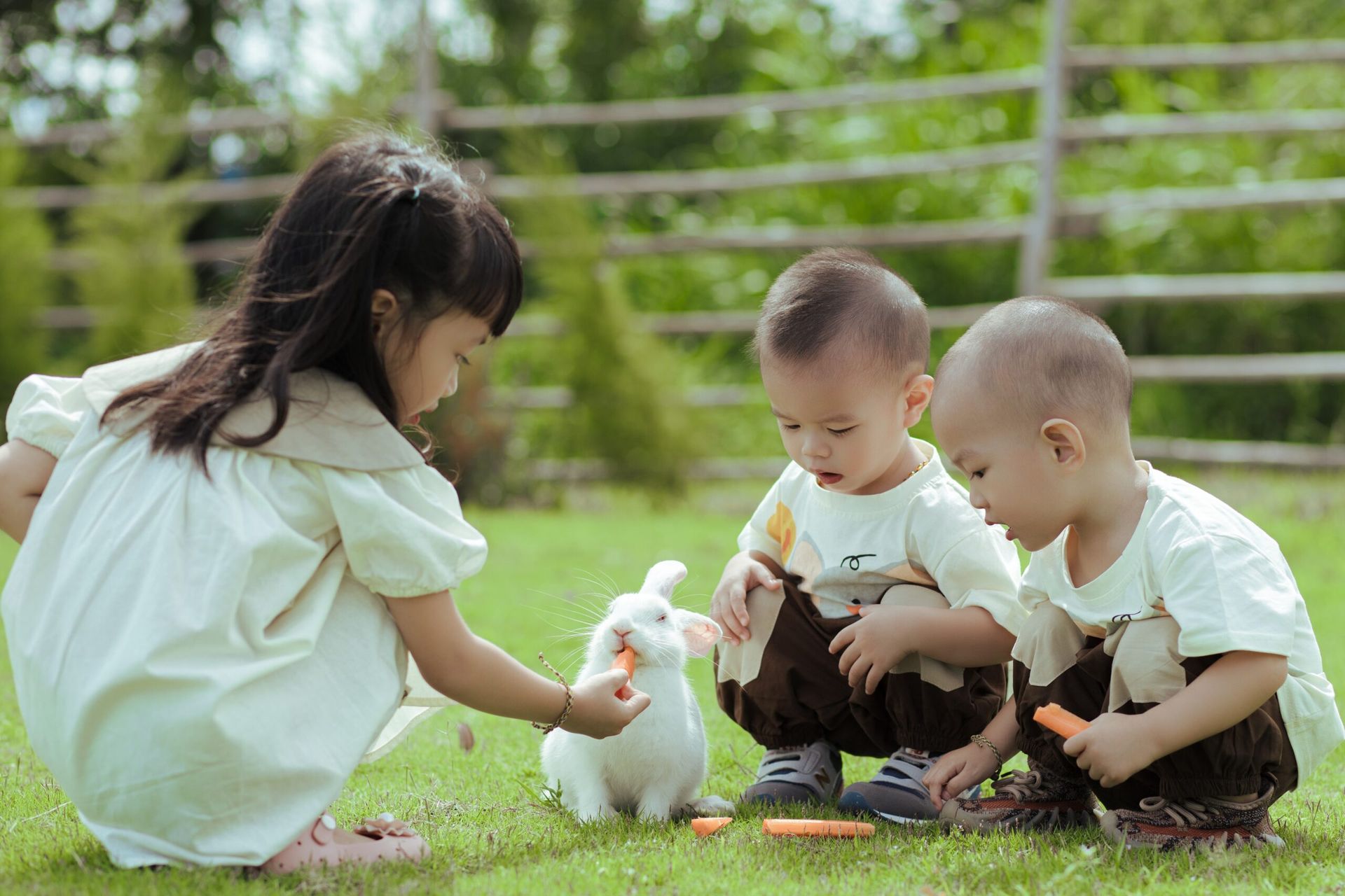 Inflexor backs Butterfly Learnings amid growing interest in autism care