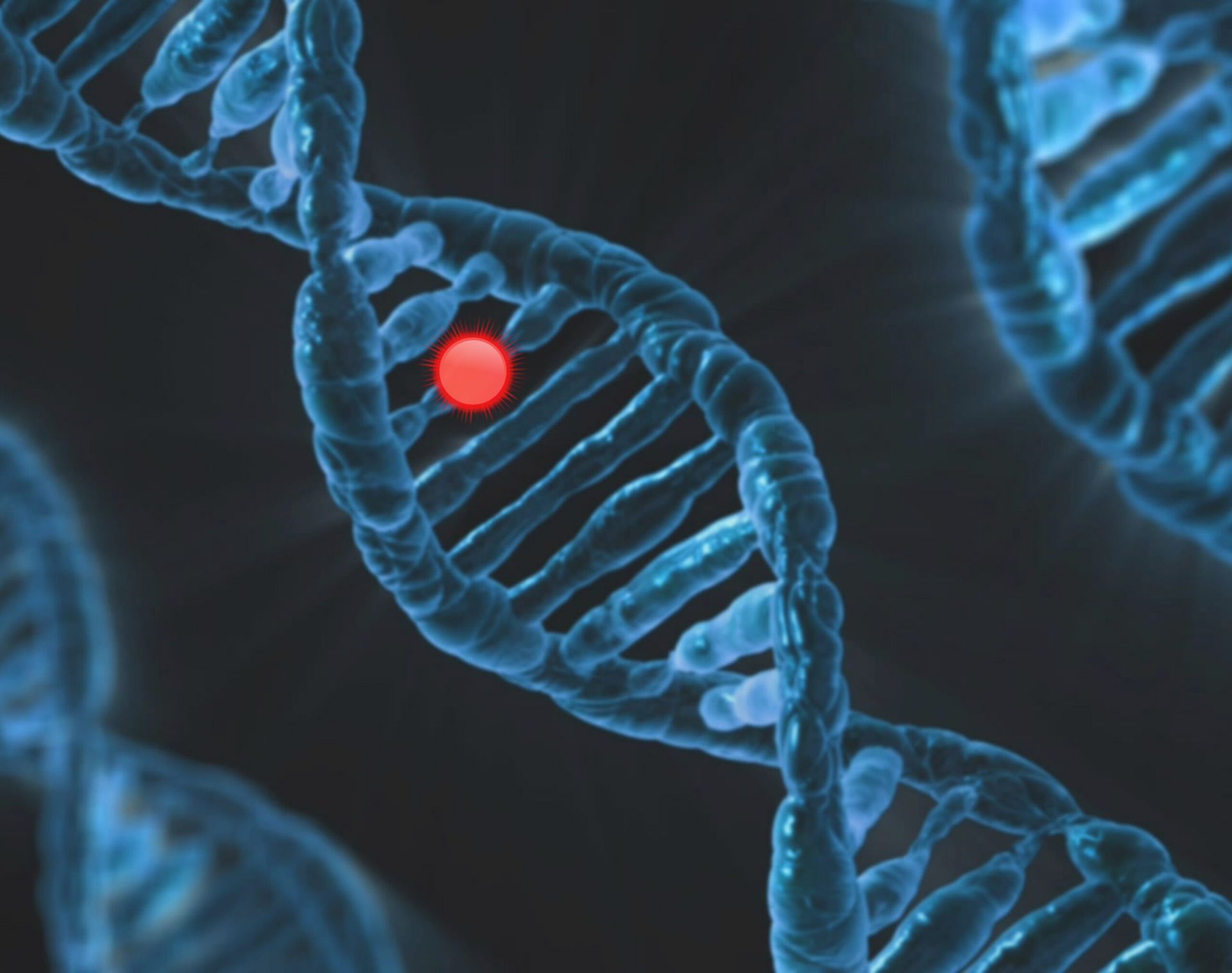 IFC in talks to invest in India's Datar Cancer Genetics