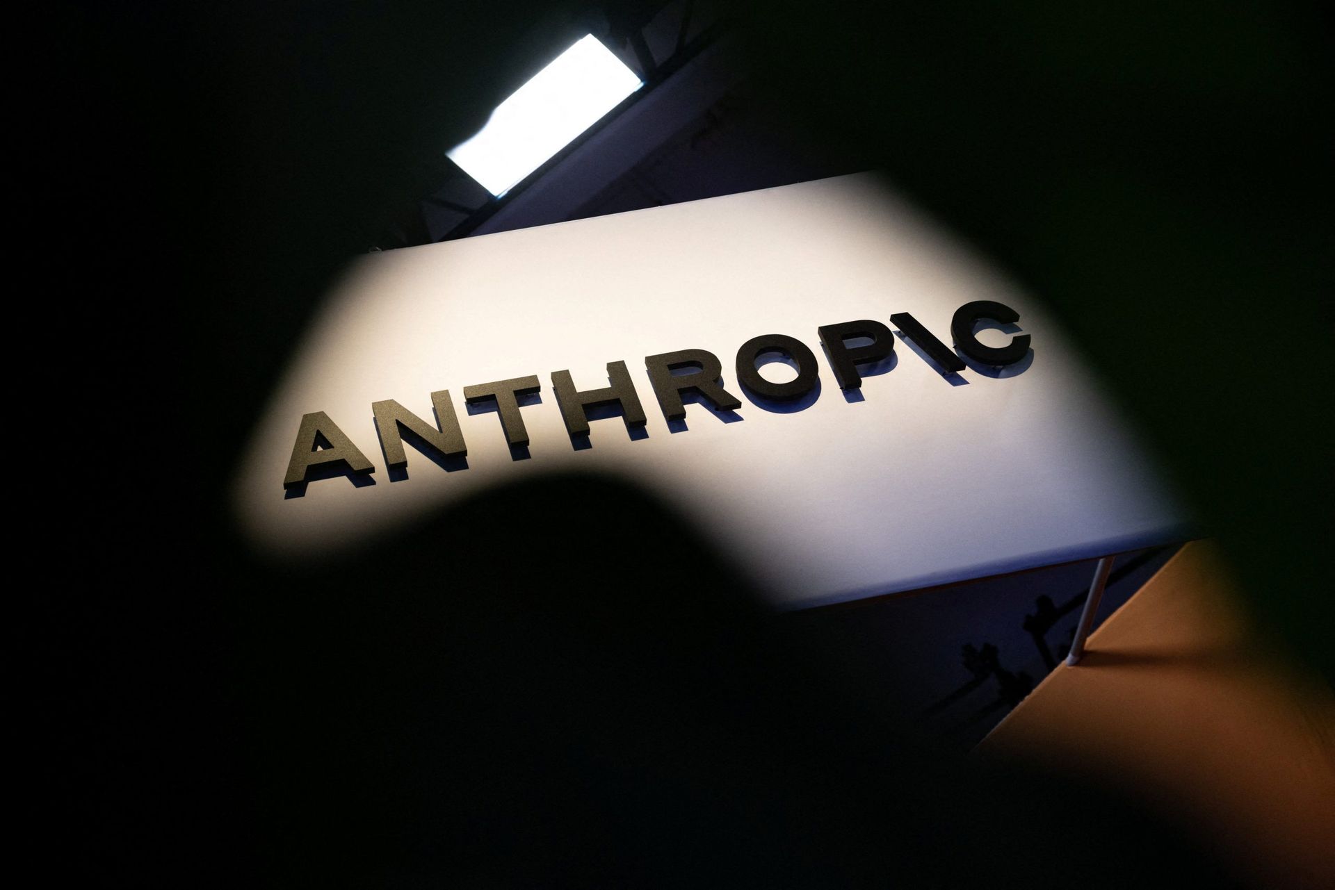 Anthropic's IPO filing shows steep losses, explosive revenue growth and risks